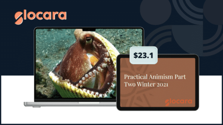 practical-animism-part-two-winter-2021-by-ancestral-medicine