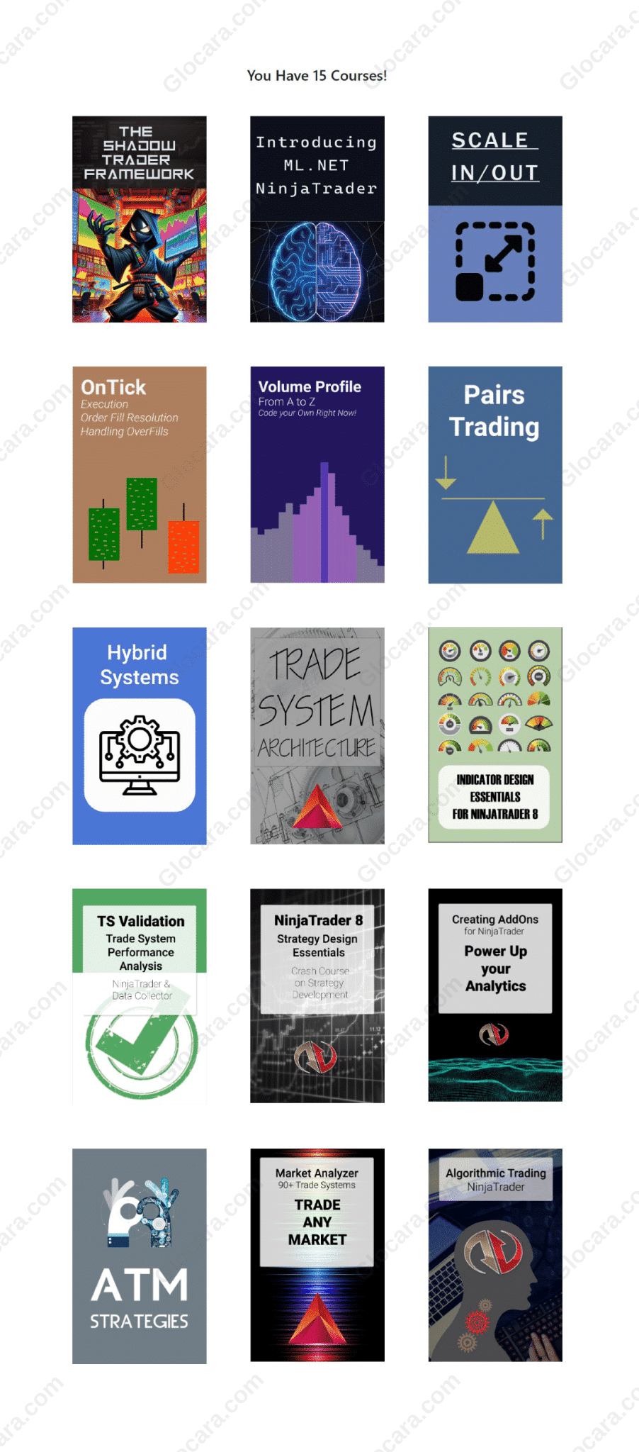 All Courses in One Complete Bundle by Ninja Coding All Courses in One Complete Bundle by Ninja Coding Proof