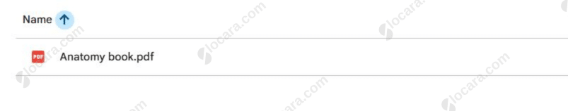 Anatomy Book for Massage Therapists By Dawn Lewis Anatomy Book for Massage Therapists Proof