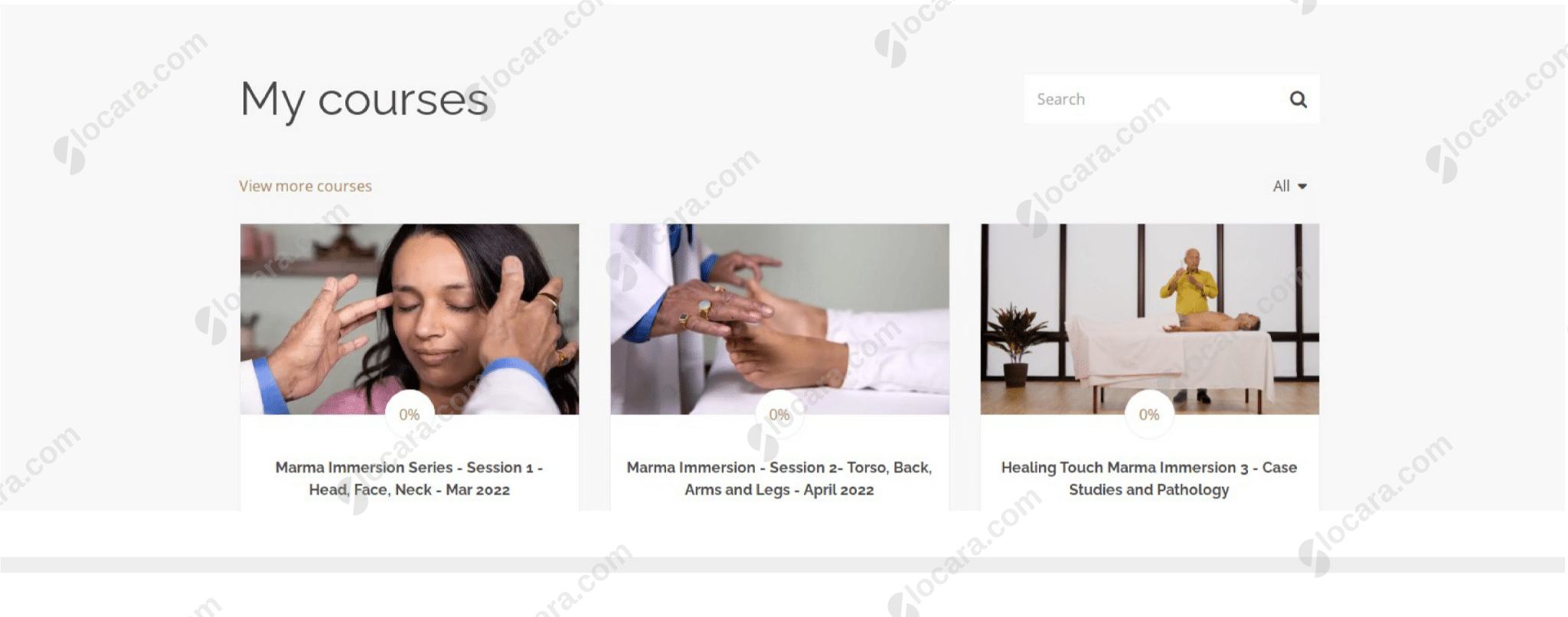 The Healing Touch Marma Acupressure Point Therapy Bundle By Vasant Lad Proof Healing Touch Marma Therapy by Vasant Lad