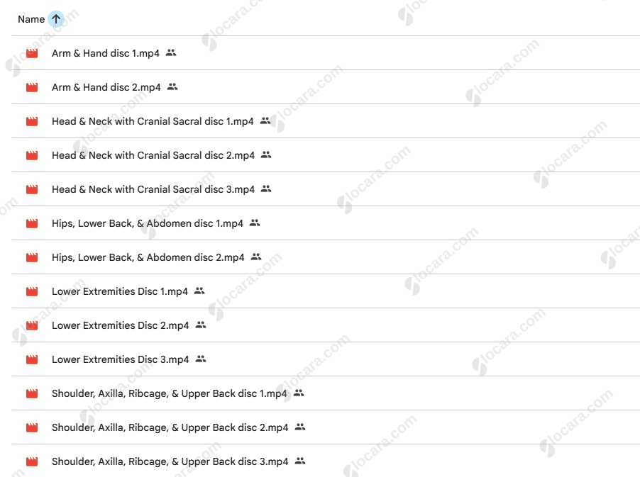 The Spontaneous Muscle Release Technique Full Body Basic Series Set By Dawn Lewis Spontaneous Muscle Release Technique – Basic Set Proof