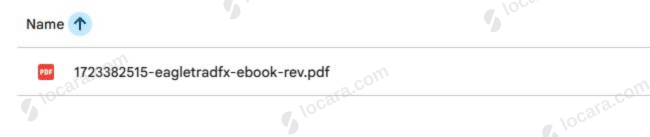 Automated Forex Income to Reduce Personal Debt Ebook by Eagle Trade Fx Automated Forex Income to Reduce Personal Debt Ebook by Eagle Trade Fx Proof