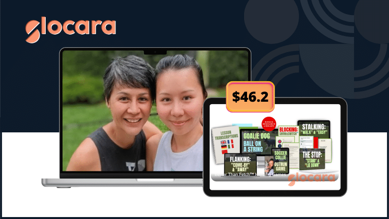 Better Than Fetch Herding Games by Collies With Yen Better Than Fetch Herding Games training program by Collies With Yen for structured dog herding skills.